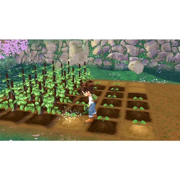 PS5 牧場物語 Welcome！美麗人生